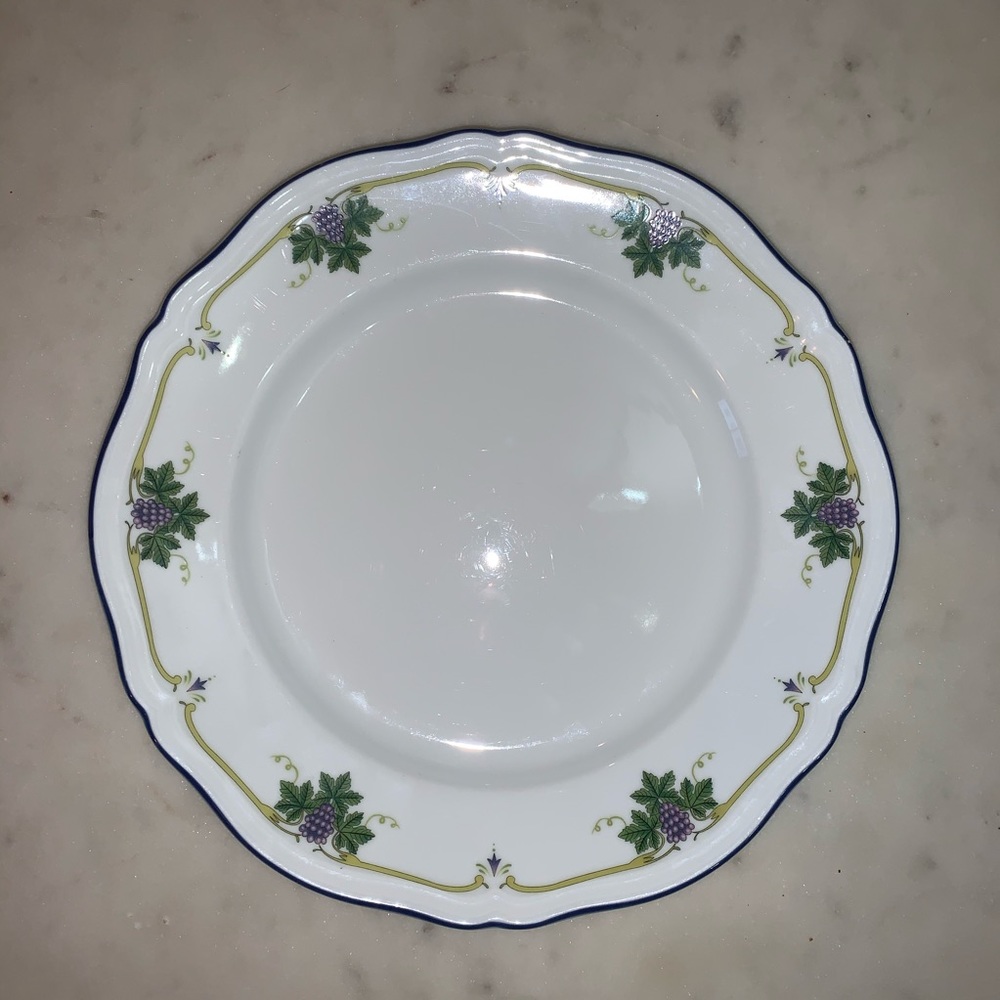 Antique China - Richard Ginori Dinner Plates